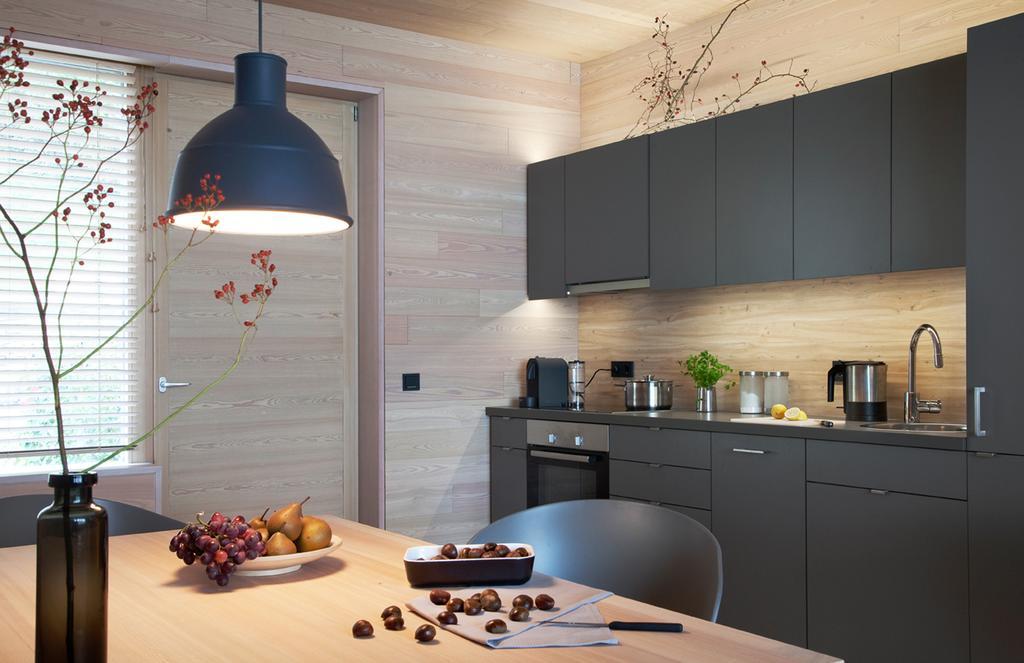 דירות טראונקירכן See 31, Ferienlofts Am Traunsee מראה חיצוני תמונה